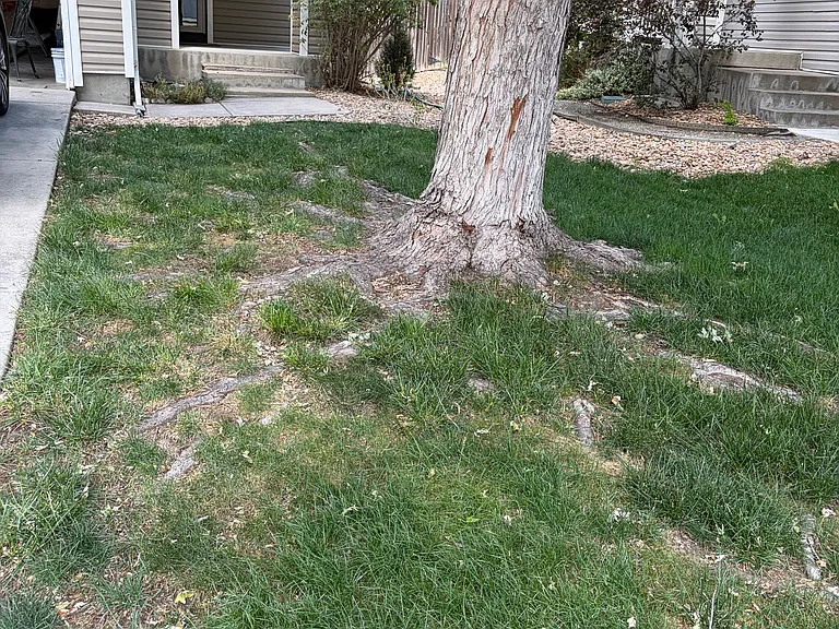 8066 S Kalispell Way — Photo 5