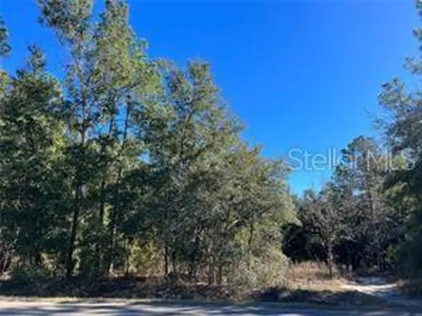 60 Guava Pass #16, Ocklawaha, FL 32179