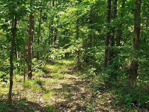 3rd image of 0 Radford Ln
