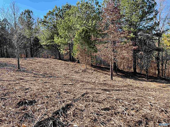 4th image of LOT 440 Four County Rd #5-545