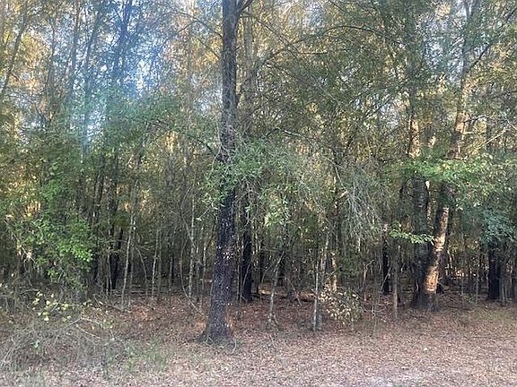 3rd image of County Road 2880