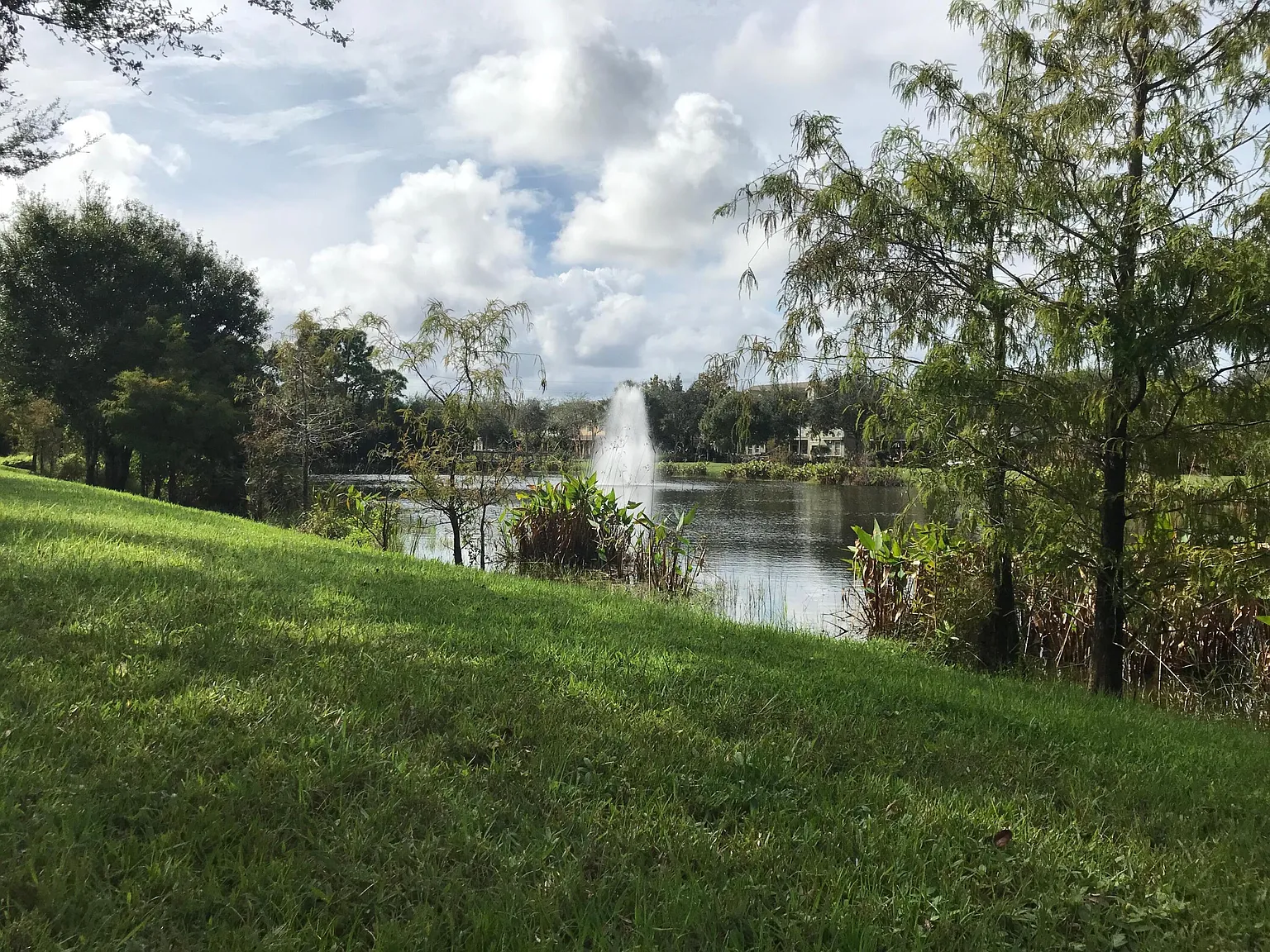 3 bed, 2.5 bath, 1751 sqft, $3,100 — Photo 4