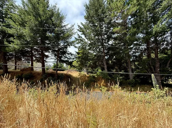 117 Ridge Rd, Whitethorn, CA 95589