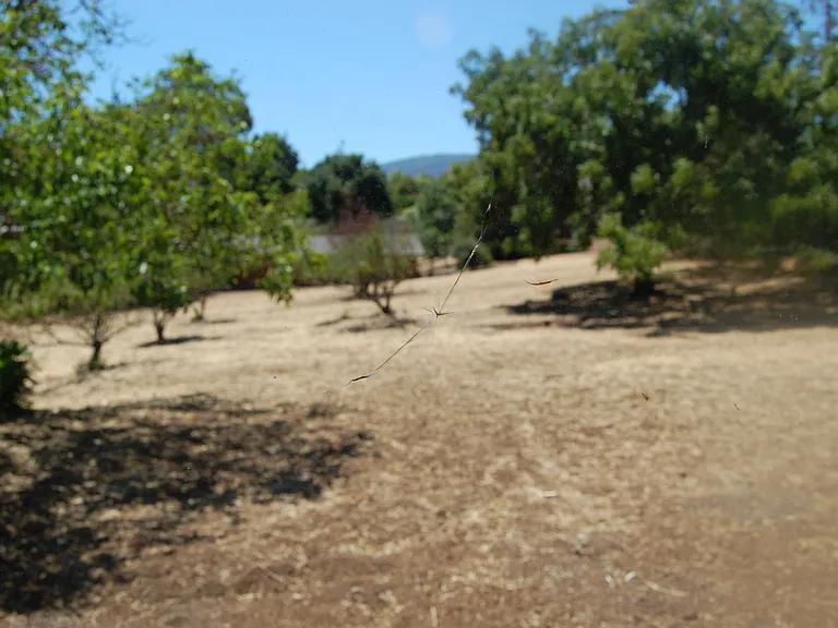 26012 W Fremont Rd — Photo 7