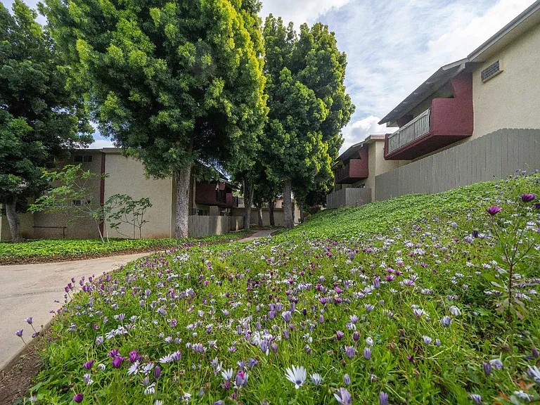Mesa Gardens — Photo 15