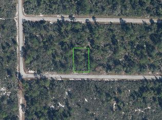 3351 Elmbrook Drive, Lake Placid, FL 33852