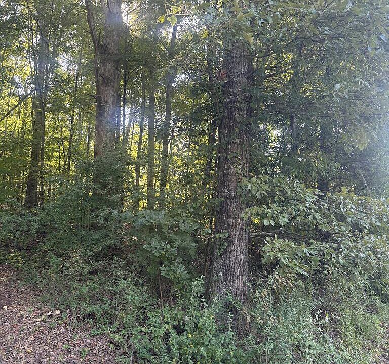 1st image of LOT 5 Roberts Ridge Rd