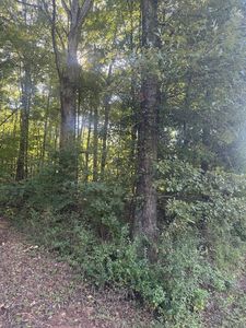 LOT 5 Roberts Ridge Rd, Ellijay, GA, 30540