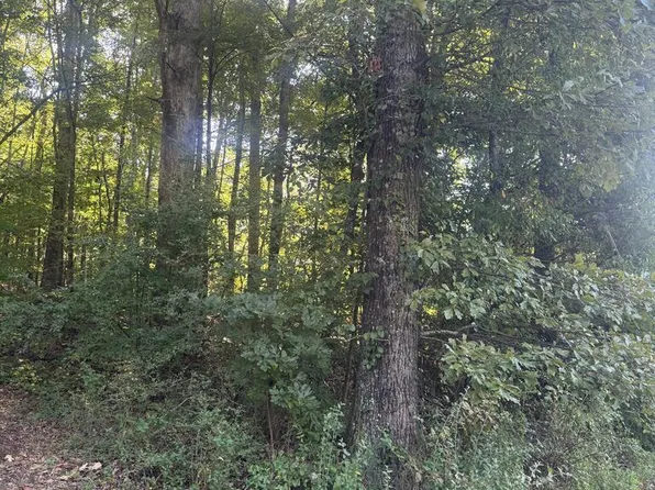 LOT 5 Roberts Ridge Rd, Ellijay, GA 30540