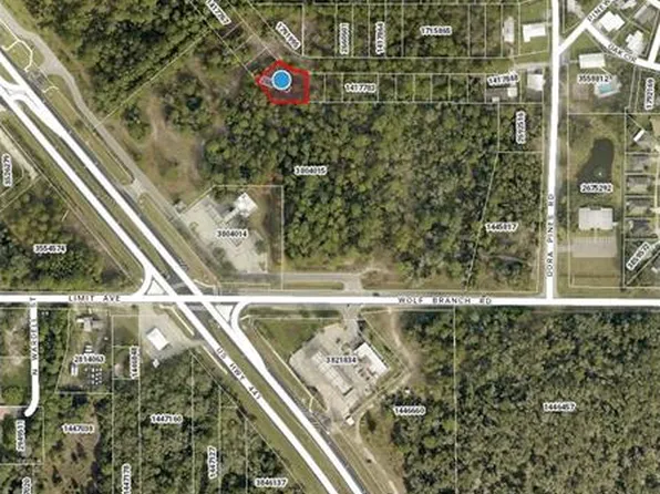 Lots 31 & 32 Us #441-lot 31, Mount Dora, FL 32757