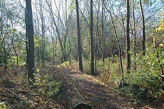 2nd image of 5569 175th St