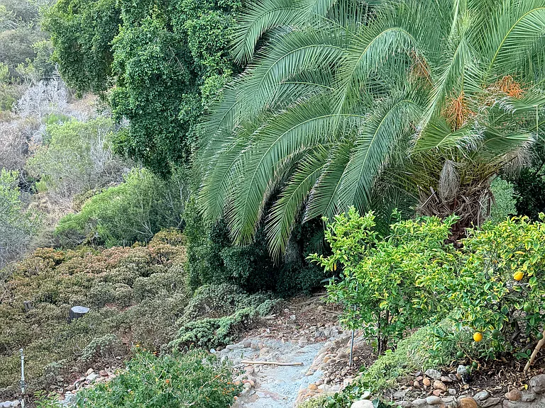 Wilshire Dr — Photo 7