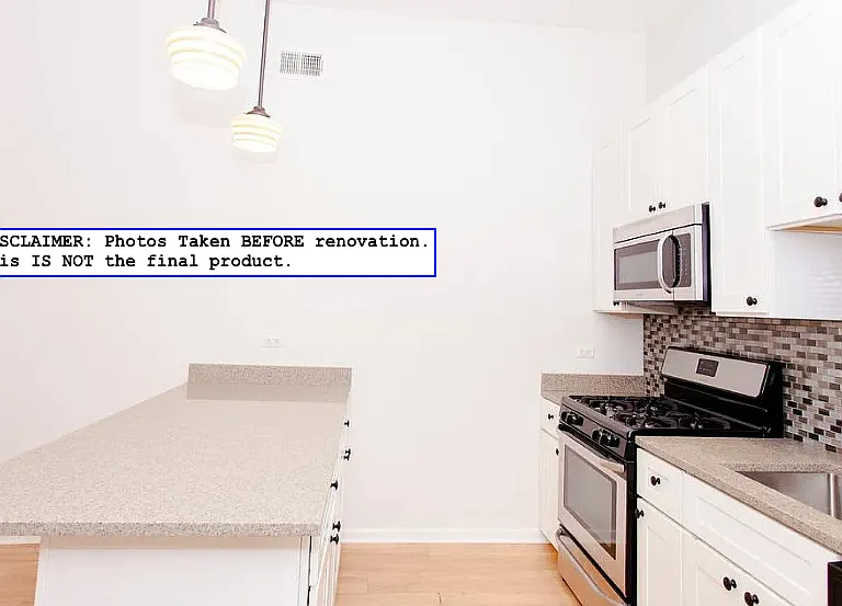 935 W Armitage Ave #2D — Photo 2