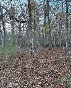 22 Burnaby Ct, Fairfield Glade, TN, 38558