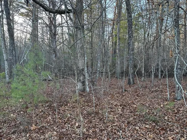 22 Burnaby Ct, Fairfield Glade, TN 38558