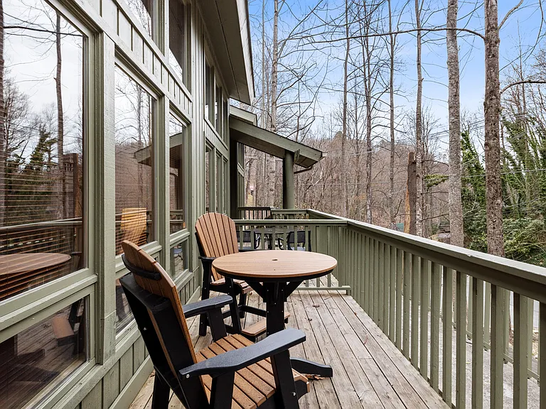 1228 Ski Mountain Rd #4 — Photo 8
