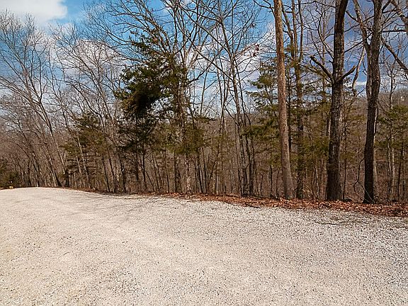 4 Ozark Paradise Vlg, Ridgedale, MO 65739 | MLS #60234106 | Zillow