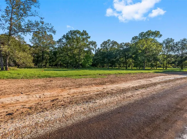 6070 Alans Memorial Ln, New Waverly, TX 77358