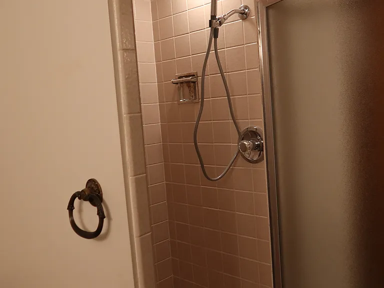Walk-in Shower