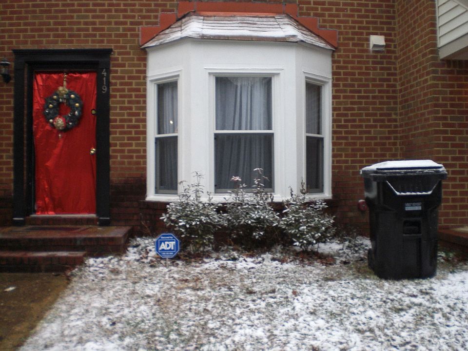 Front View