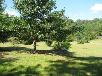 2nd image of 268 Lyles Dr