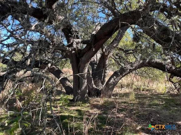 212 Wizard Way, Spring Branch, TX 78070