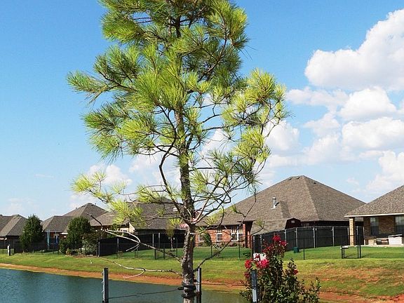 Neighborhood pond