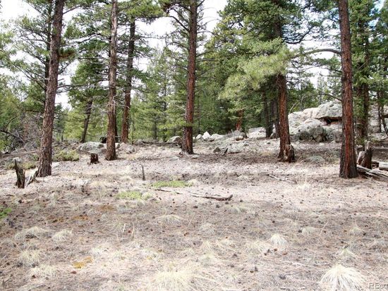 449 Forest Drive LOT 008, Bailey, CO 80421