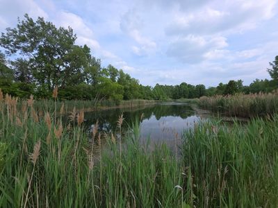 11856 W Snyder Rd, Westville, IN, 46391