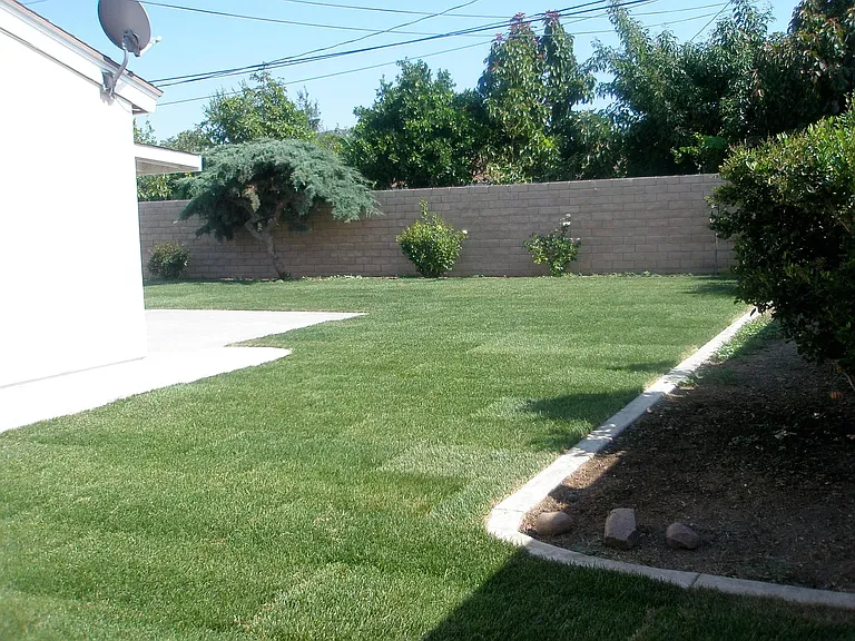 Back Yard and Side Yard 2