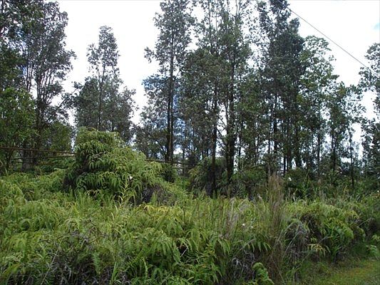 2nd image of Wailele St