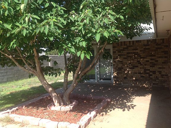 Beautiful back and front yards