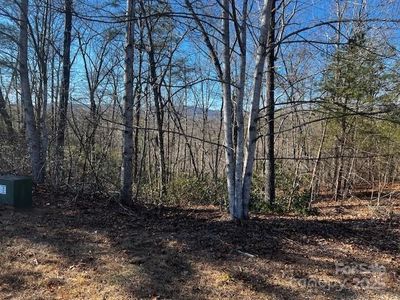 37 N Mountain Ln, Mill Spring, NC, 28756