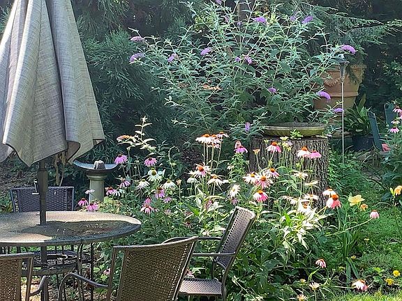 Relax in a wooded garden.