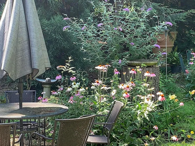 Unwind in the garden space.