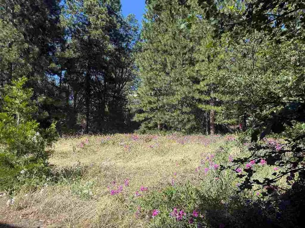 Hercules Dr, Mount Shasta, CA 96067