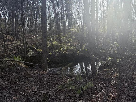 4th image of 3916 Cummings Rd