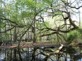 1694 NE Bellville Rd, Pinetta, FL 32350