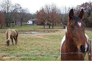 5th image of 1084 County Road 733