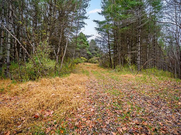 2nd image of 595 Wild Cherry Rd NE Lot C