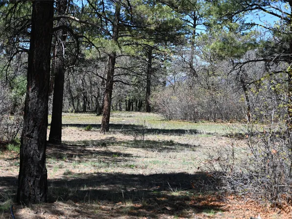 2 S La Espuela, Chama, NM 87520