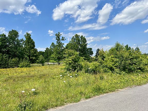 3rd image of 0 Salem Ln Lot 53&54