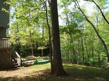 Fenced Back Yard