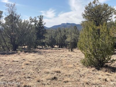 290 Hummingbird Ln, Seligman, AZ, 86337