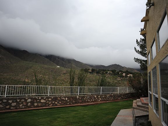 Backyard view