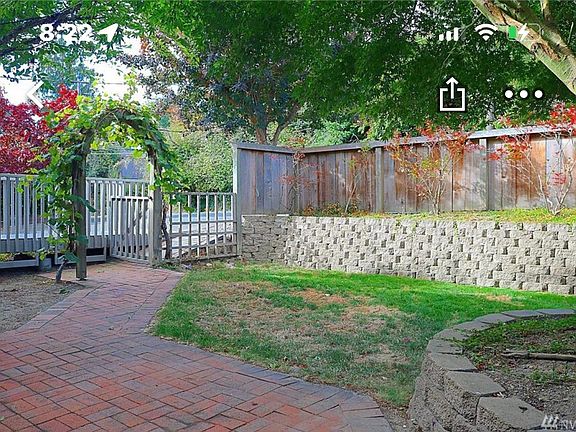 Front Yard with blueberries in Spring