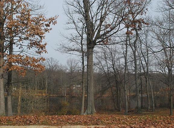 Pond view in neighborhood