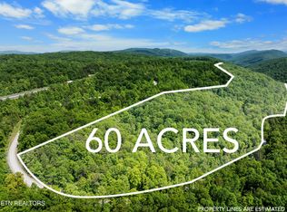 Stinking Creek Rd, Pioneer, TN 37847