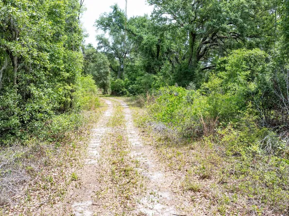 1285 SE Koon Lake Rd, Mayo, FL 32066