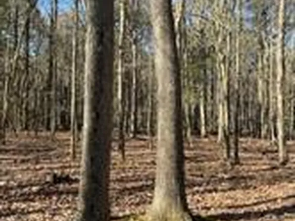 Azalea, Cambridge, MD 21613